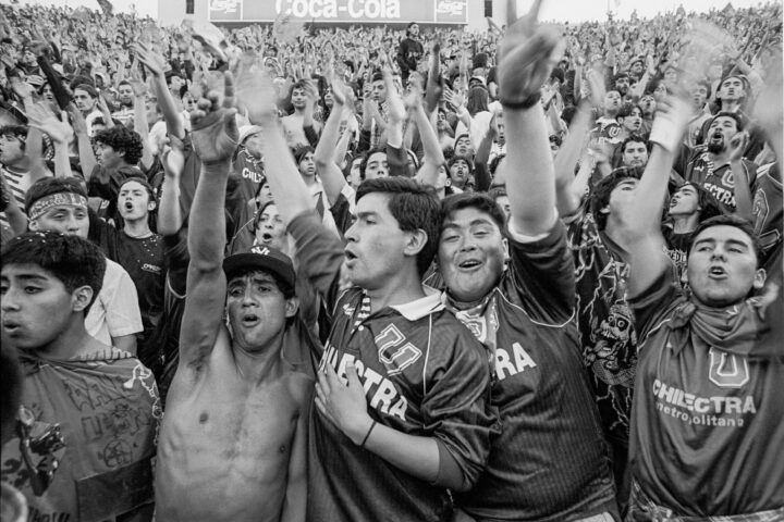 LOS DE ABAJO
JAVIER GODOY